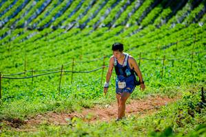 BIB: 109, 
                            <button type="button" onclick="openModal(19163525)" class="btn btn-primary btn-sm float-right btn-popup" data-toggle="modal" data-target=".modal-high-quality">
                        <i class="fas fa-shopping-cart"></i> Add to Cart
                    </button>
                                            <button type="button" onclick="isThisMe(19163525, true)" class="btn btn-success btn-sm float-right btn-popup btn-isme hidden" data-toggle="tooltip" data-placement="bottom" title="นี่คือรูปของคุณใช่ไหม คลิกที่นี่เพื่อเอาเข้าอัลบั้ม">
                        <i class="fas fa-plus"></i> Add to album
                    </button>
                    <button type="button" onclick="isThisMe(19163525, false)" class="btn btn-warning btn-sm float-right btn-popup btn-isnotme hidden">
                        <i class="fas fa-ban"></i> Remove from album
                    </button>